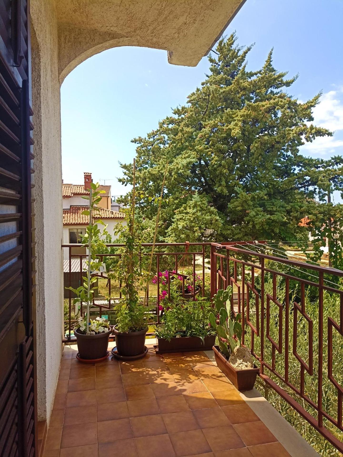 Apartments Villa Laura Pula Exterior photo