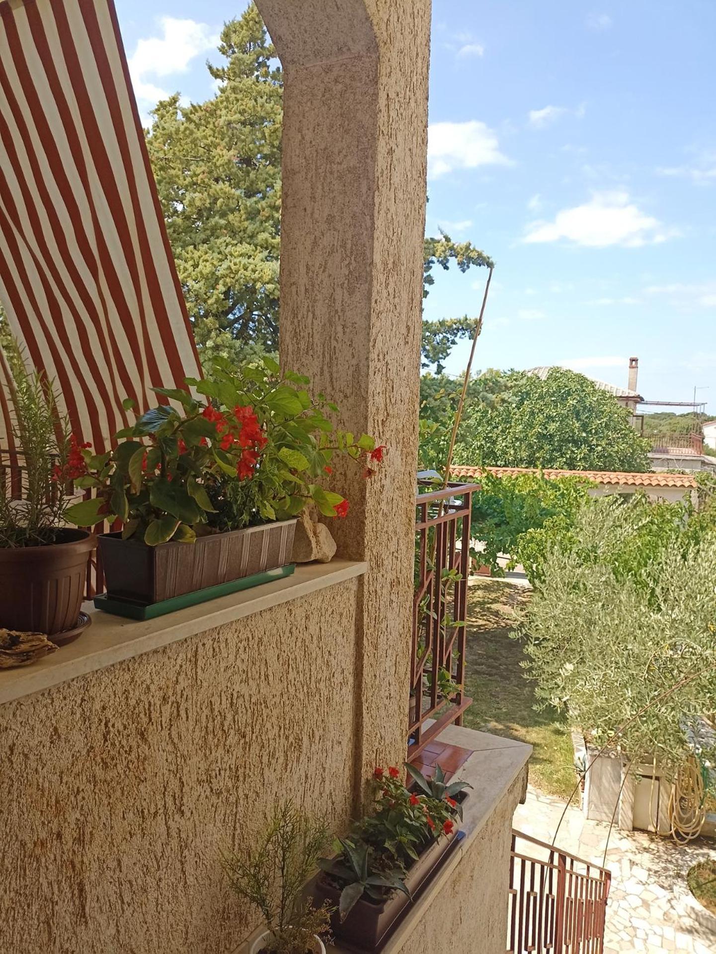 Apartments Villa Laura Pula Exterior photo